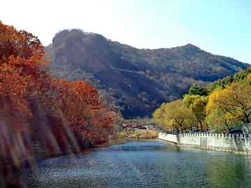 新澳天天开奖资料大全旅游团，时代快车